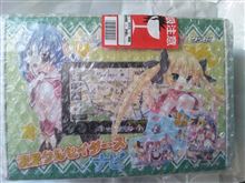 諦めきれず、買ってしまった…