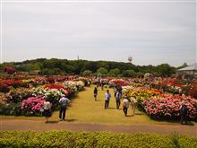 京成バラ園
