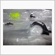 110525-2　Dにて･･･