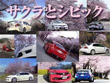 サクラとシビック選抜