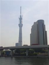 札幌に戻って来ました