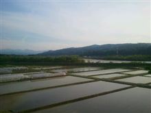春。梅雨。 春。梅雨。