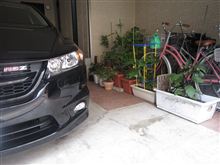 野菜たち、待避