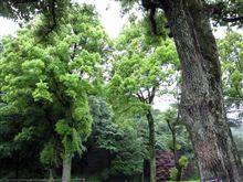 梅雨の週末