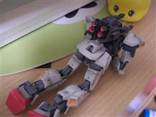 今日は
