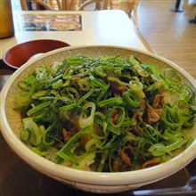 ねぎ玉牛丼