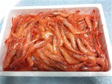 甘エビ1kg
