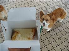 伊ベント＆ニャ～ゴ～屋ｉｎ瀬戸♪