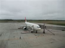JAL、A300-600R引退