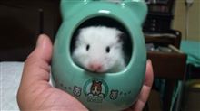 2ヶ月～♪