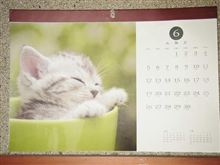 ６月ニャ～