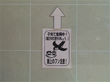 休日\1000もじき終わっちもうから、ほの前によっちゃばってモツ定食を喰うじゃん！オフお疲れ様でした… 