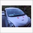 久々の車ネタ