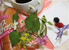 お昼休み♪
