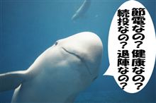 どっちなの？