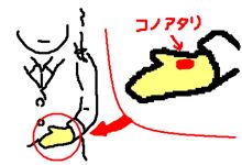 ウンシンってなんだ・・・！