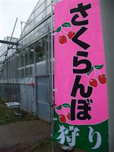 初夏の味覚