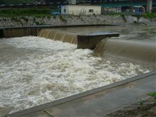 この雨では致し方なし