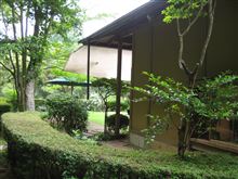 しっとり梅雨の森でランチ　～益子町　カフェ　フーネ～ 