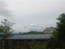 ようやく拝めた富士山 