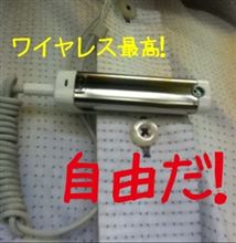 繋がれているのはどうも… 繋がれているのはどうも…