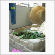 自給自足。