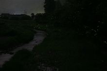 ホタルを求めて岡山へ
