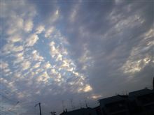 くたばりそうですこの蒸し蒸し！
