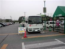 血の気が多いので。 血の気が多いので。