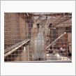動物園のユカイな仲間達