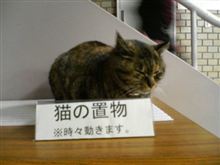 にーにー…もう限界… 