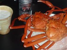 急に暑くなりましたなぁ 急に暑くなりましたなぁ