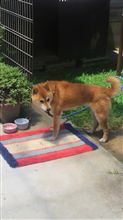 神戸オフ告知(●ω●)ﾓﾌｯ