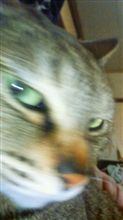 なんだかなぁ～