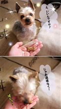 おやつのような薬