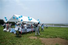 HAPPY BIRTHDAY 500 ! FIAT 500 Pic-Nic 2011