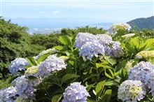 DBC初撮影会♪ in桑谷山荘紫陽花園 DBC初撮影会♪ in桑谷山荘紫陽花園