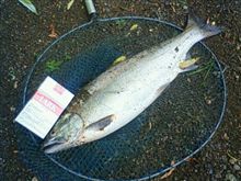 釣り