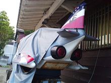 八丈島でファントム発見！