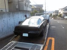 ドナドナ・・・