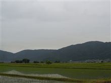 休日出勤。