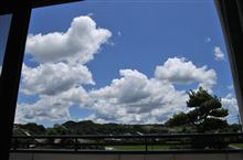 夏らしい写真を