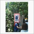 後ちょっと？