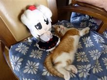 もみもみうめうめ
