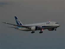 撮ってみた