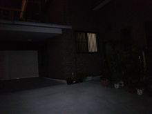 元