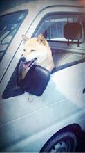 どんな高級車よりも…