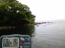 今朝は…