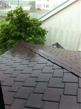 雨が