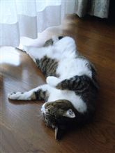 新たな真実が・・・！！